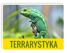 Terrarystyka-porady,produkty,promocje