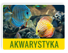 Akwarystyka-porady,produkty,promocje